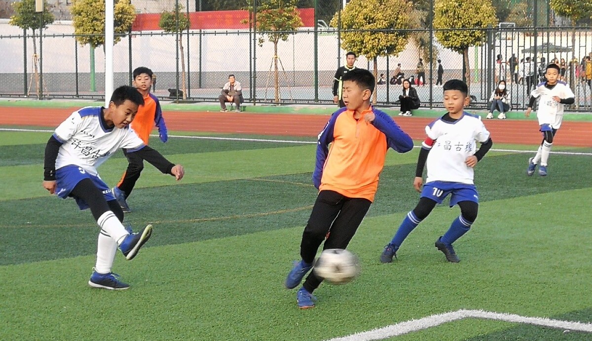 赢得最高荣 赢得最高荣