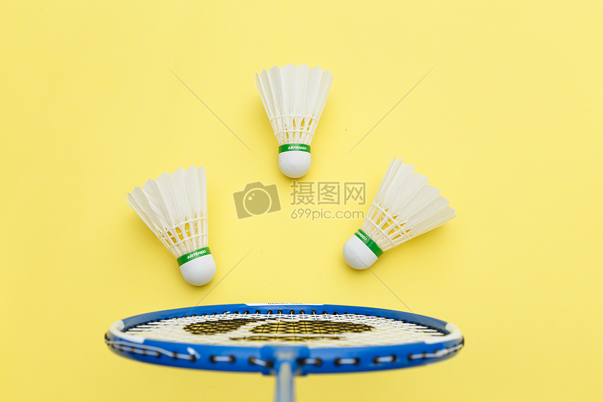 花与成都之 花与成都之