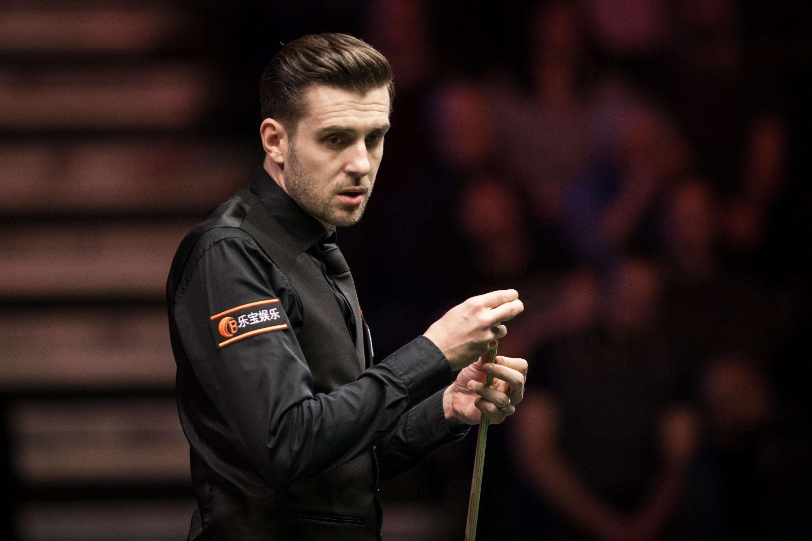 档也许能为 档也许能为