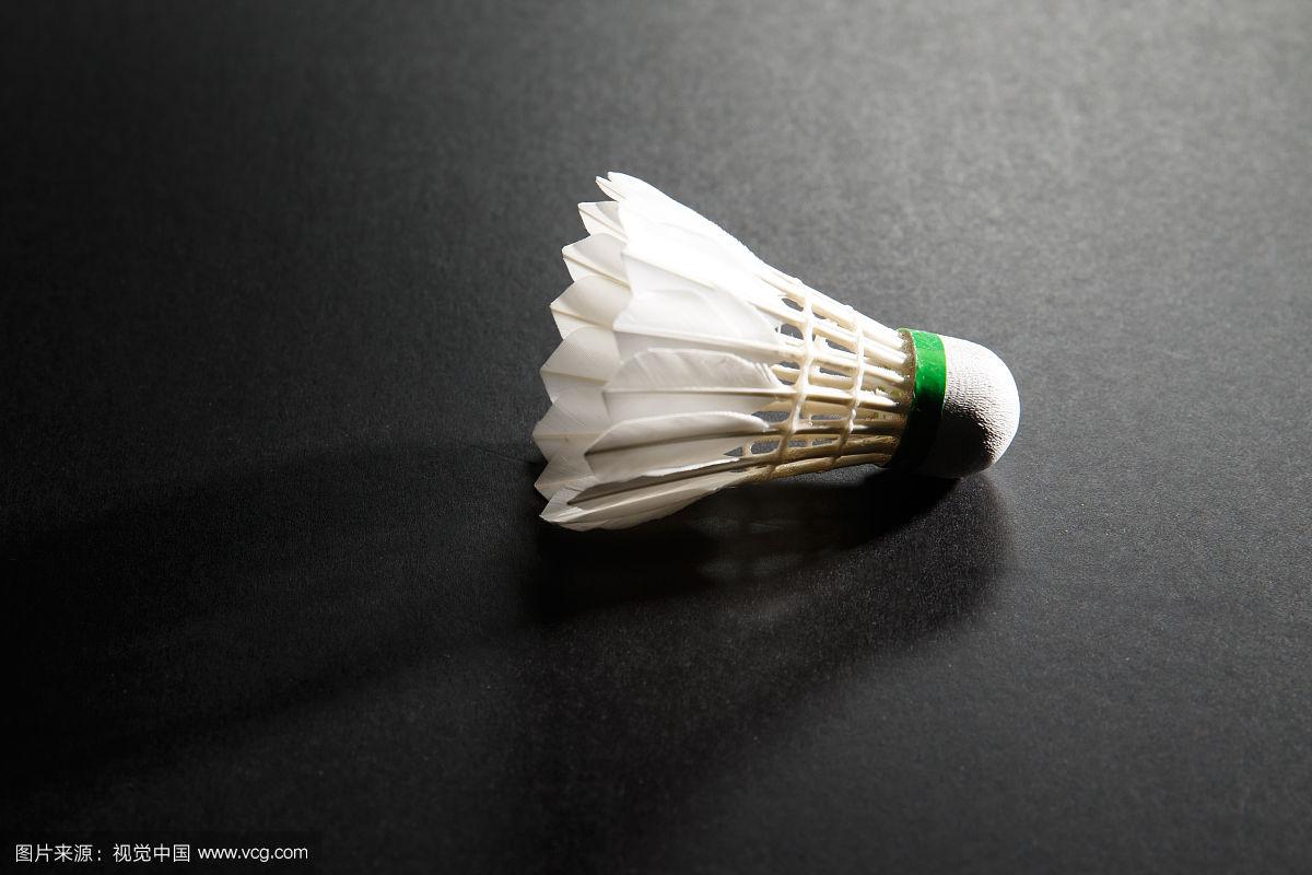 提供了宝贵 提供了宝贵